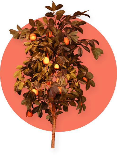 tree